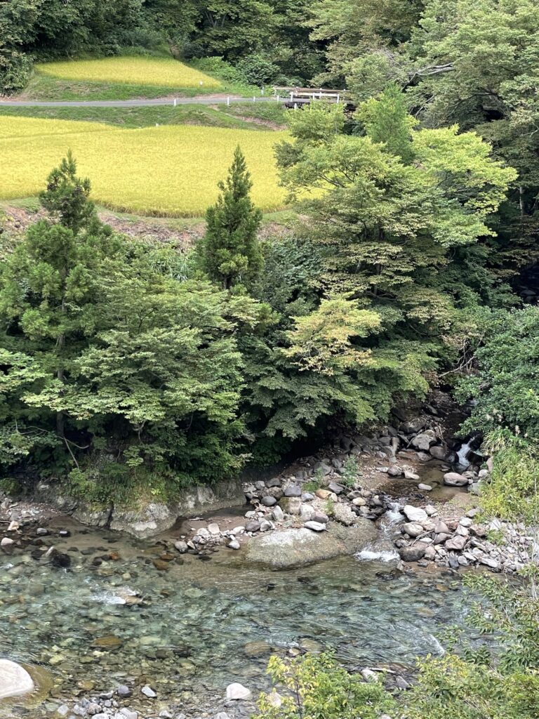 清津川旁的平坦地，就是美麗的稻田。(十日町，Japan)