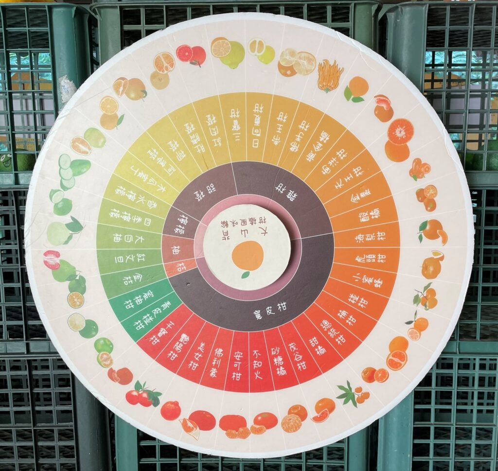 認識柑橘 轉盤樂（大山北月 新竹臺灣）
