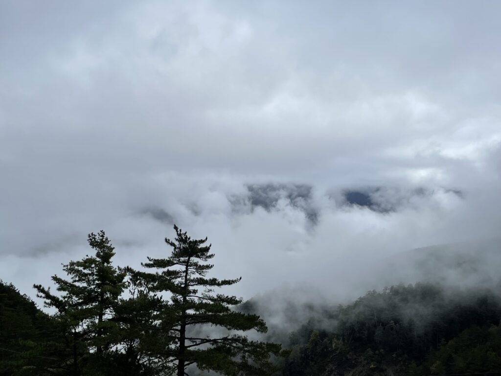 雲海、遠山、松樹（梨山）。