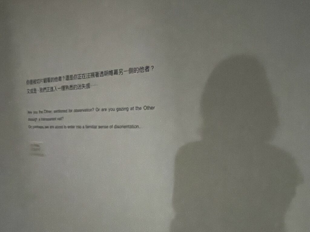 我是觀看自我的他者？還是觀看他者的自我？R.E.A.D.E.R. 是新生活習題。（攝於國立臺灣美術館 臺中）