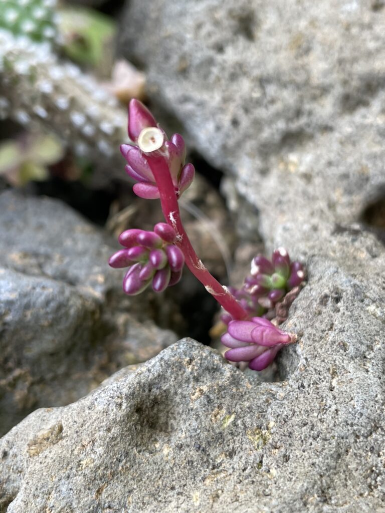 後現代帶著批判，質疑著現代主義。2（Jeji Island, Korea）