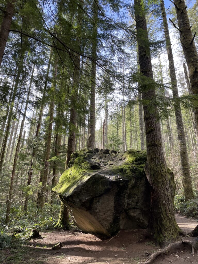 這顆巨石，落在山徑起點，獲得「迎賓石」美稱。