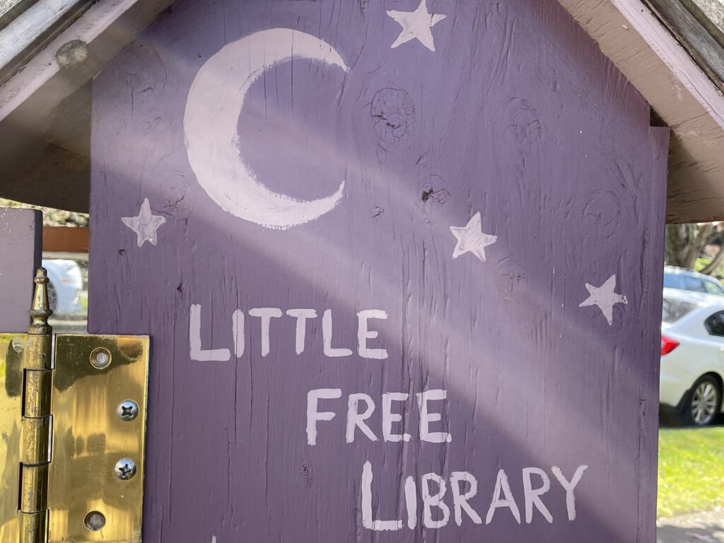 Little Free Library主人，對於書屋常常有不同的巧思設計。