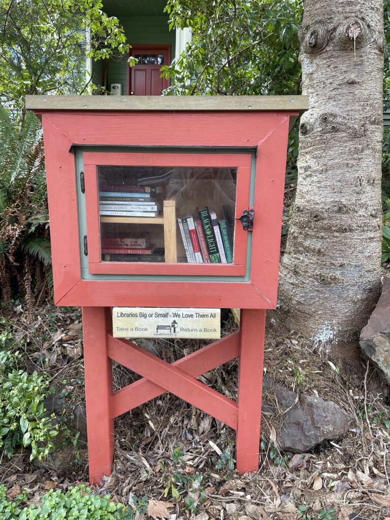 站在家宅前方的Little Free Library。